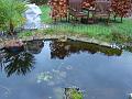 2009-1229-1330_Pond_4,4C